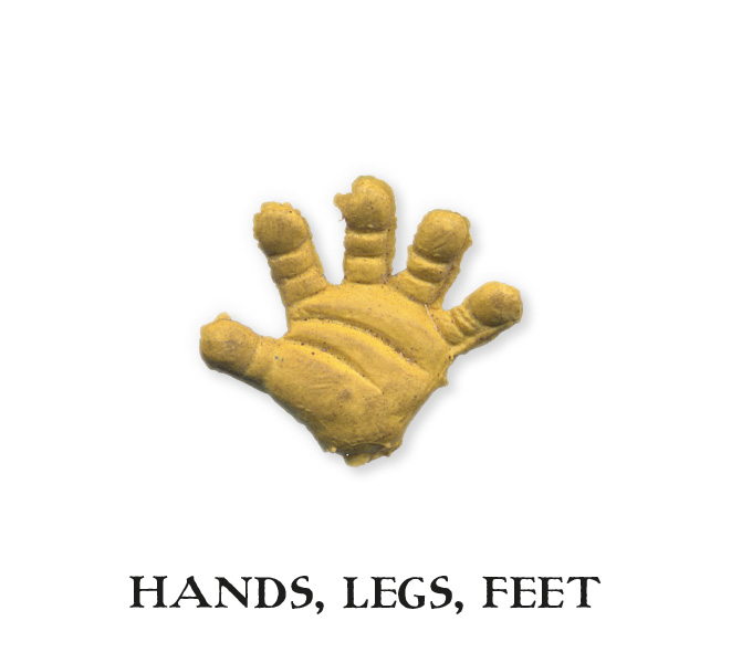 Hands, Legs, Feet